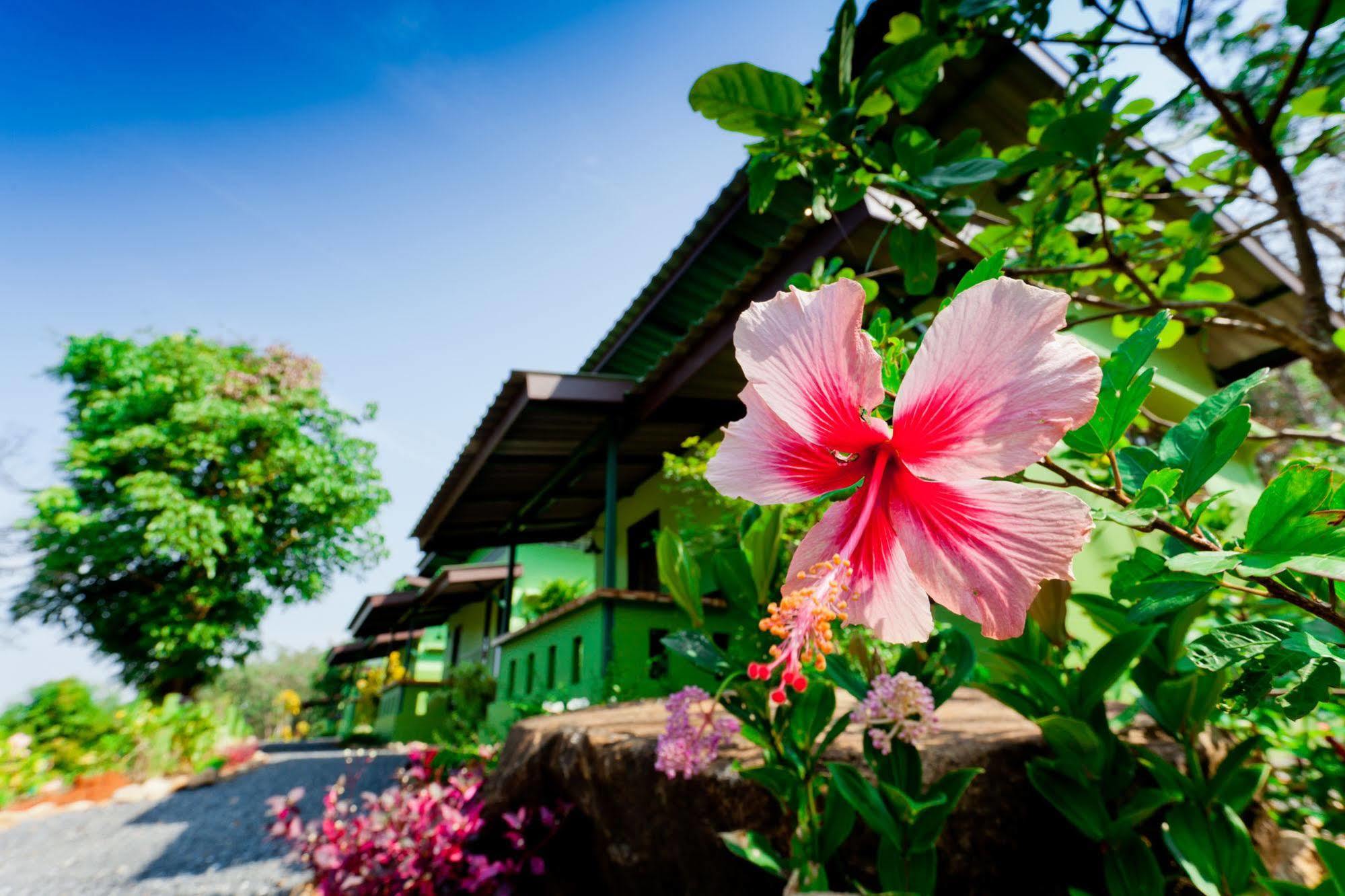 The Mouth Resort - Sha Extra Plus Khao Lak Dış mekan fotoğraf